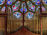 Organ